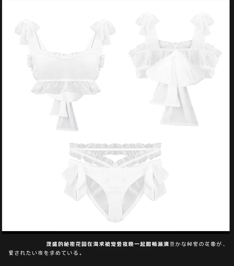 Asian Lingerie Style 2400 | OEM Lingerie Factory view 27